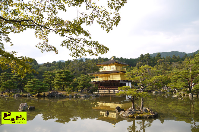 [京都]北山文化的輝煌-鹿苑『金閣寺』