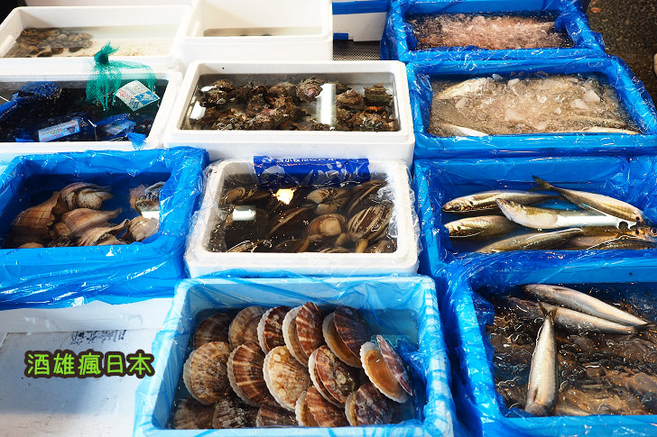 [神奈川橫濱景點]橫濱中央卸賣市場-超低溫鮪魚冷凍庫的南極體驗