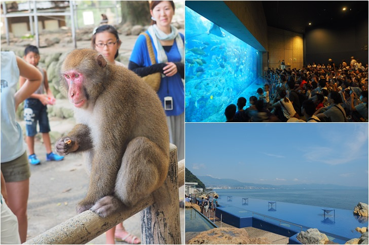 快速規劃大分市動物的一天行程-海之卵水族館＆高崎山自然動物園