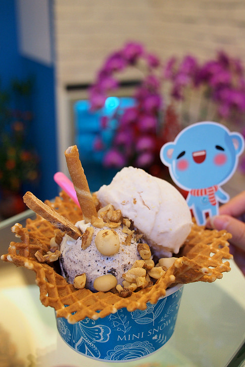 [南投美食]MINI SNOW 義式冰淇淋-南投市最火的冰淇淋店
